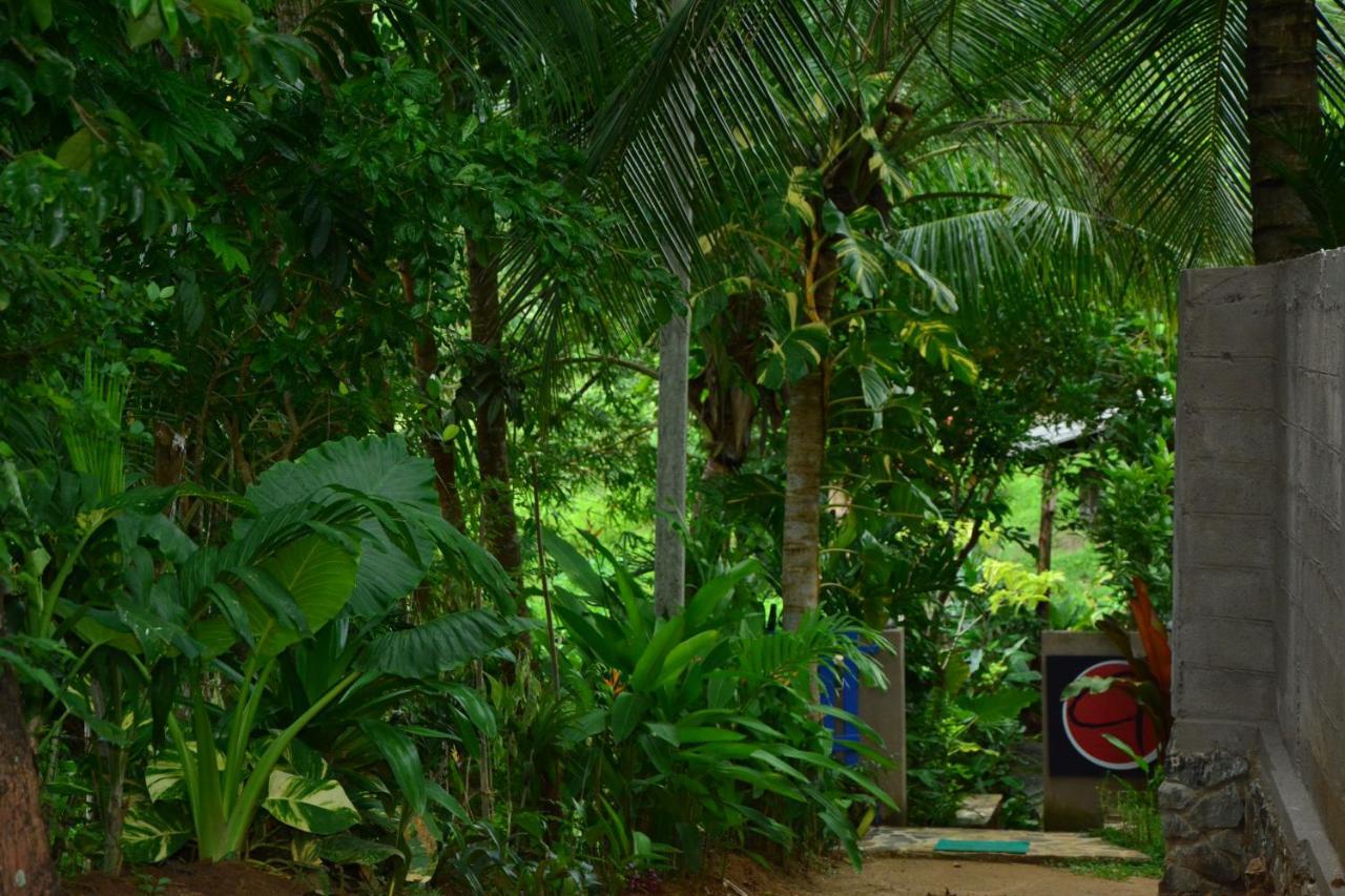 View Guesthouse & Bistro At Goyambokka Tangalle Luaran gambar