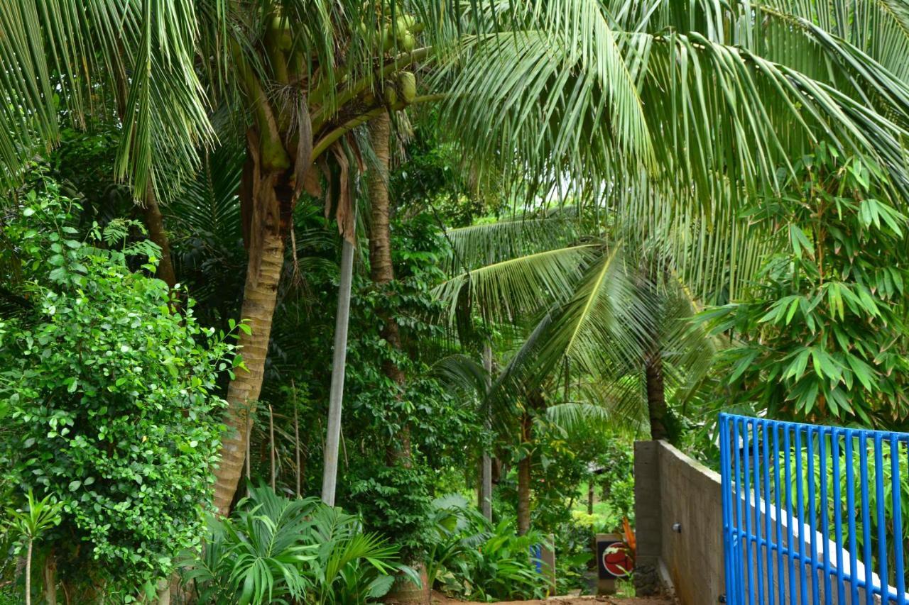 View Guesthouse & Bistro At Goyambokka Tangalle Luaran gambar