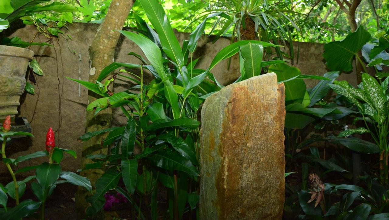 View Guesthouse & Bistro At Goyambokka Tangalle Luaran gambar