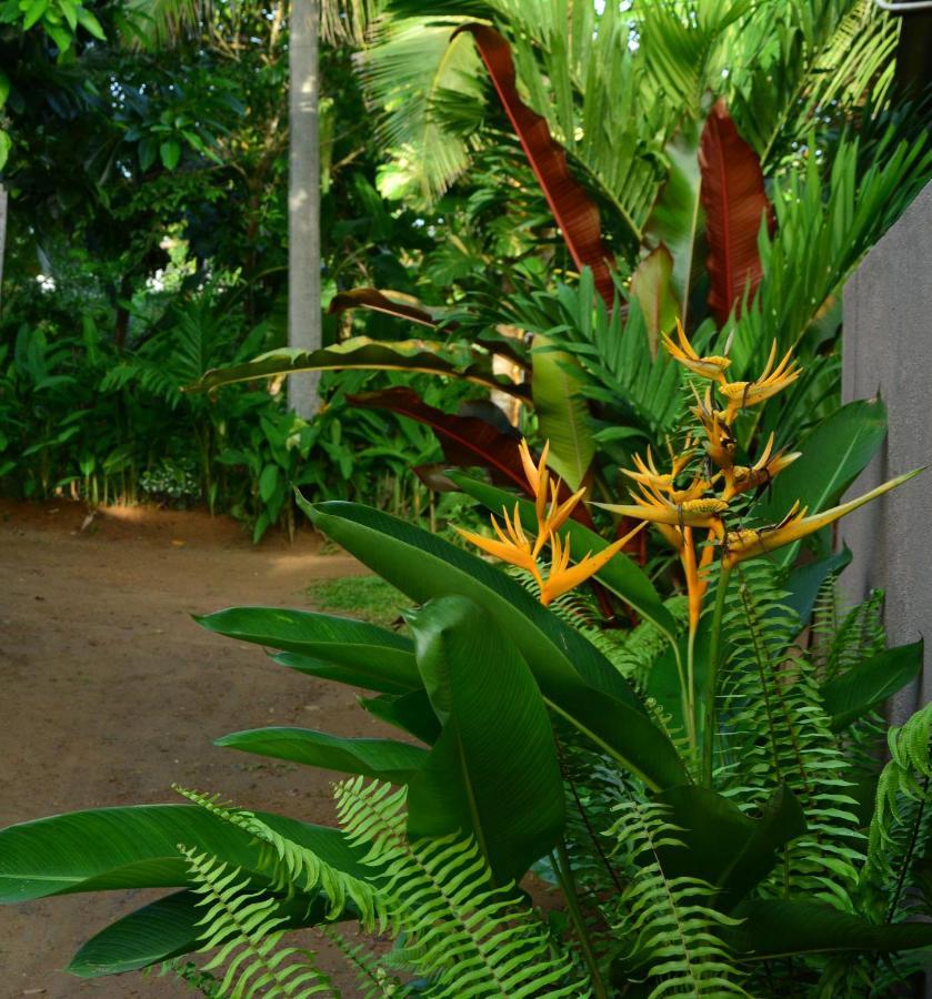 View Guesthouse & Bistro At Goyambokka Tangalle Luaran gambar