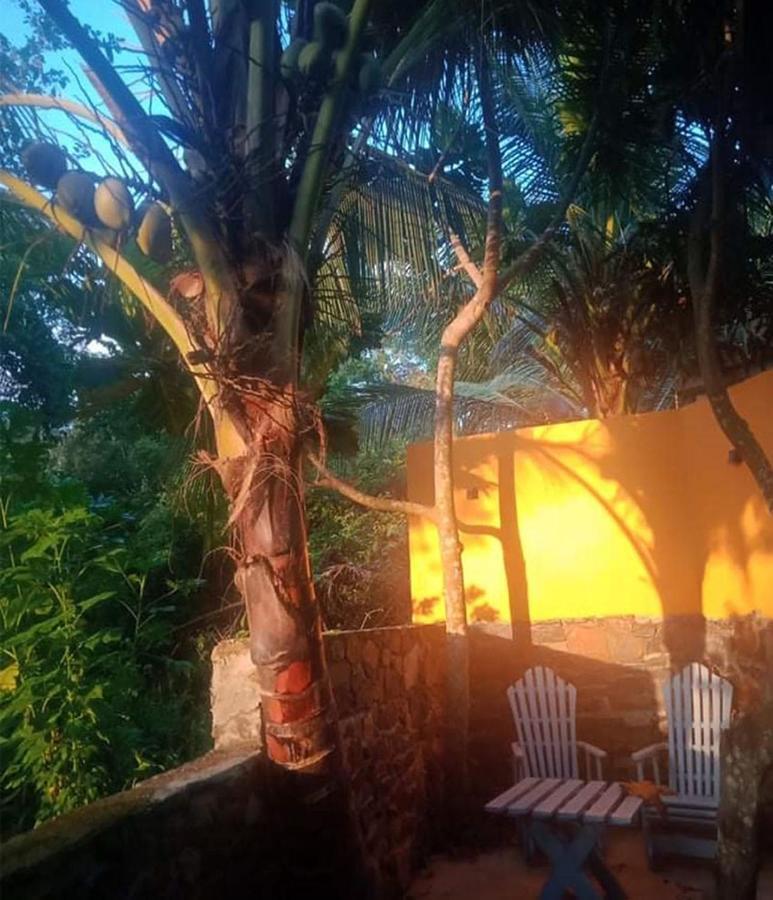 View Guesthouse & Bistro At Goyambokka Tangalle Luaran gambar
