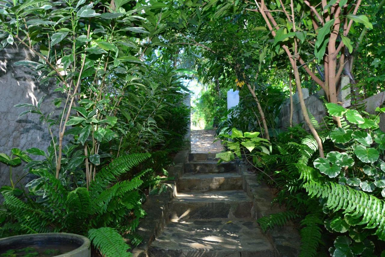 View Guesthouse & Bistro At Goyambokka Tangalle Luaran gambar