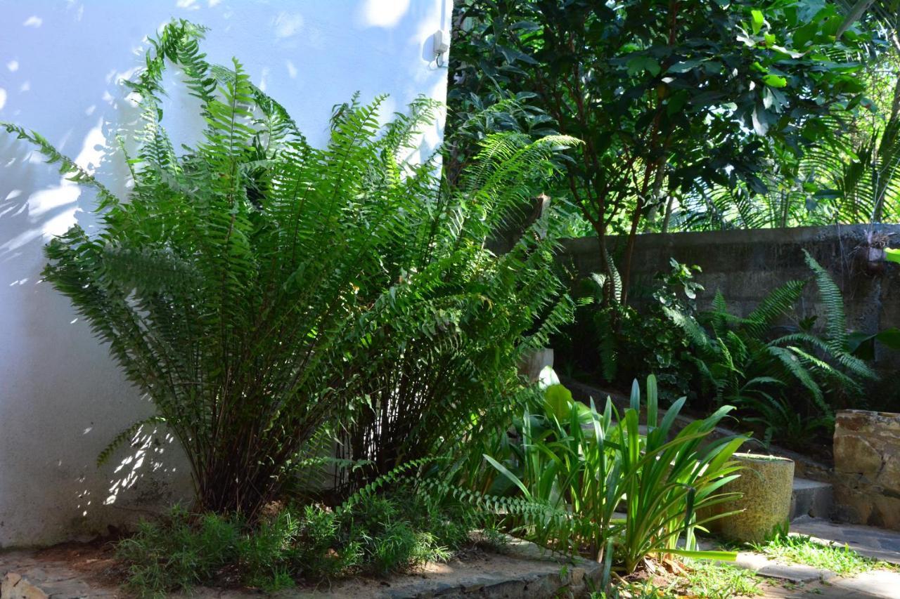 View Guesthouse & Bistro At Goyambokka Tangalle Luaran gambar