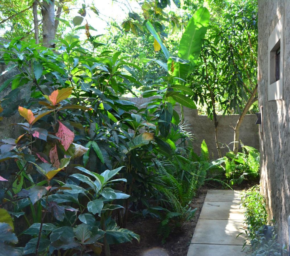 View Guesthouse & Bistro At Goyambokka Tangalle Luaran gambar